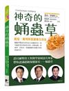 神奇的蛹蟲草：栽培、藥用與保健養生功效