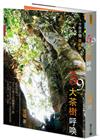 59棵大茶樹呼喚：十年不覺茶山夢