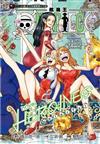 ONE PIECE novel 航海王小說 HEROINES 女英雄們的故事[Colorful]（全）