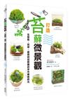 打造苔蘚微景觀：生態瓶、苔球、盆栽與苔蘚牆的手作療癒時光