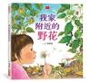 我家附近的野花（新版）
