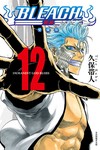BLEACH死神 愛藏版（12）