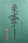 林業試驗所2026行事曆「擎天之柱」