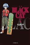 BLACK CAT 黑貓 愛藏版（9）