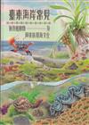 臺東海岸常見無脊椎動物及阿美族用海文化[軟精]