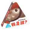 三角形書【我是誰】