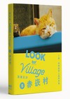 誌村鑑（5）澎湖白沙赤崁村：丁香、神明與岸上延伸的海