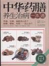 中華藥膳養生漢病一本通