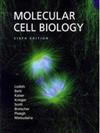 Molecular Cell Biology