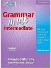Grammar in Use Intermediate: Self-Study Reference and Practice for Students of North American English : With Answers