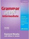 Grammar in Use Intermediate With Answers: Self-study Reference and Practice for Students of North American English
