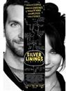 The Silver Linings Playbook