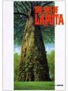 The art of Laputa