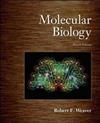 Molecular Biology