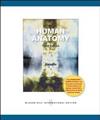 Human Anatomy