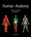 Human Anatomy
