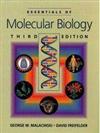 Essentials of Molecular Biology