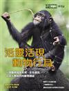 《科學人》雜誌博學誌：活靈活現 動物行為