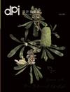 dpi 設計插畫誌 2月號/2020 第242期：花草迷不能不認識的手繪圖鑑式插畫