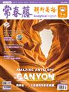 常春藤解析英語雜誌+電子書光碟 5月號/2020 第382期