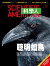 科學人雜誌 7月號/2020 第221期：聰明如鳥