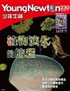 少年牛頓 11號/2023 第230期