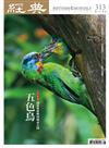 經典雜誌 8月號/2024 第313期：五色鳥：讓森林延伸到城市公園