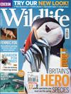 BBC Wildlife 4月號/2014