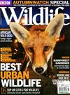 BBC Wildlife 11月號/2014：Best Urban Wildlife