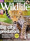 BBC Wildlife 12月號/2014