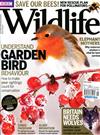 BBC Wildlife 1月號/2015：Garden Bird