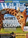 BBC Wildlife 4月號/2015：Nature’s Weirdest Designs