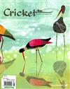 Cricket 7-8月號/2016