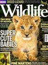 BBC Wildlife 10月號/2016