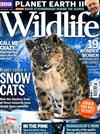 BBC Wildlife 11月號/2016