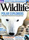 BBC Wildlife 12月號/2016