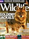 BBC Wildlife 2月號/2017