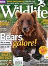 BBC Wildlife 7月號/2017