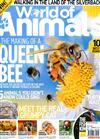 World of Animals 第49期