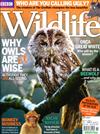 BBC Wildlife 11月號/2017