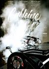 Caffeine 第30期/2017