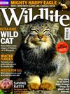 BBC Wildlife 1月號/2018