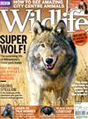 BBC Wildlife 3月號/2018（附別冊）