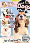 Cutest Ever Dogs & puppies 第11期