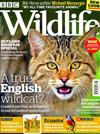 BBC Wildlife 8月號/2018