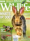 BBC Wildlife 9月號/2018