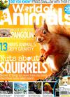 World of Animals 第64期