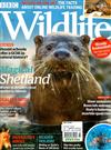 BBC Wildlife 3月號/2019+別冊