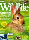 BBC Wildlife 4月號/2019