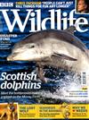 BBC Wildlife 6月號/2019